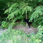 Sloneczna Polana Magdalenka Jaktstuga