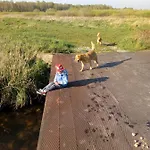 Sloneczna Polana Magdalenka *