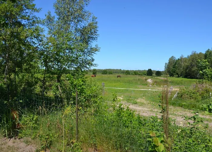 بيت خشبي Sloneczna Polana Magdalenka Slajszewo