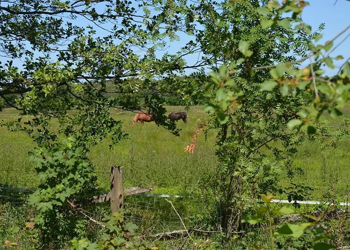 Sloneczna Polana Magdalenka * Slajszewo