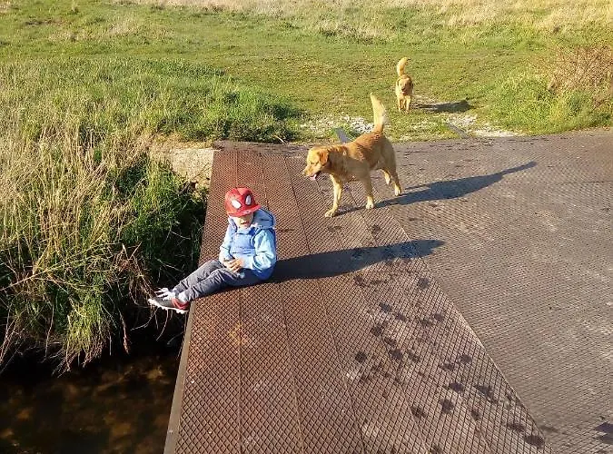 Sloneczna Polana Magdalenka *